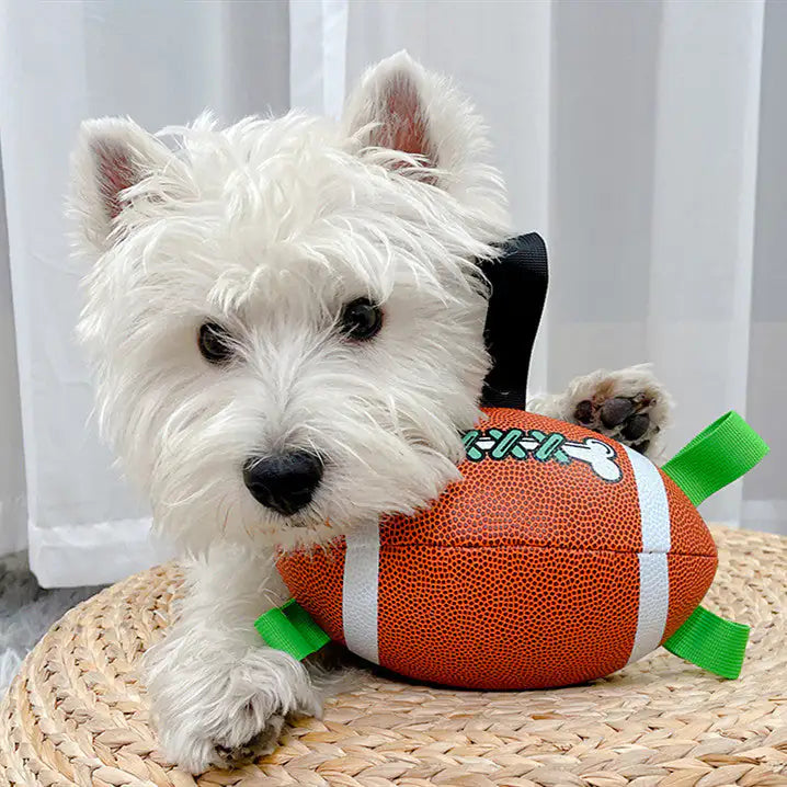 Dog Football Toys