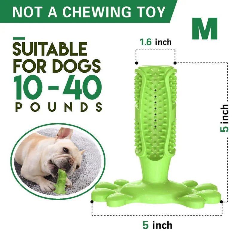 Rubber Dog Chew Toys